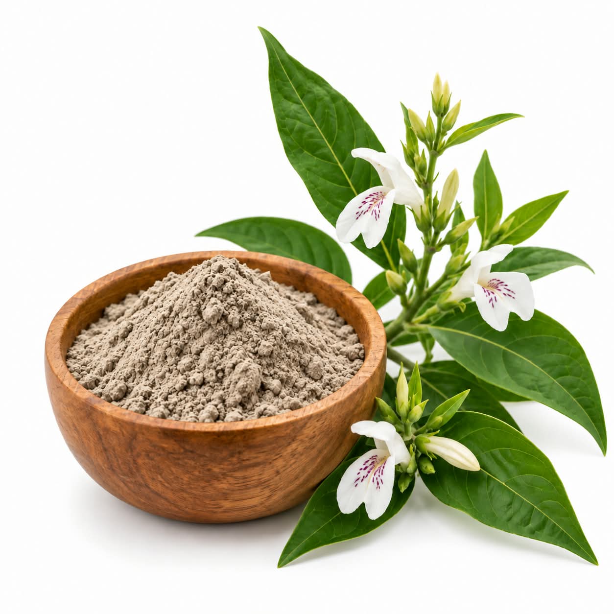 WhatsApp Image 2026-09-12 at 10.53.20 (1) Ринакантус носатый от 100 болезней Powder Rhinacanthus nasutus — изображение 1