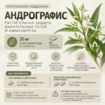 Андрографис Концентрат (Фа Талай Джон) YANHEE Andrographis paniculata 60 таблеток — изображение 2