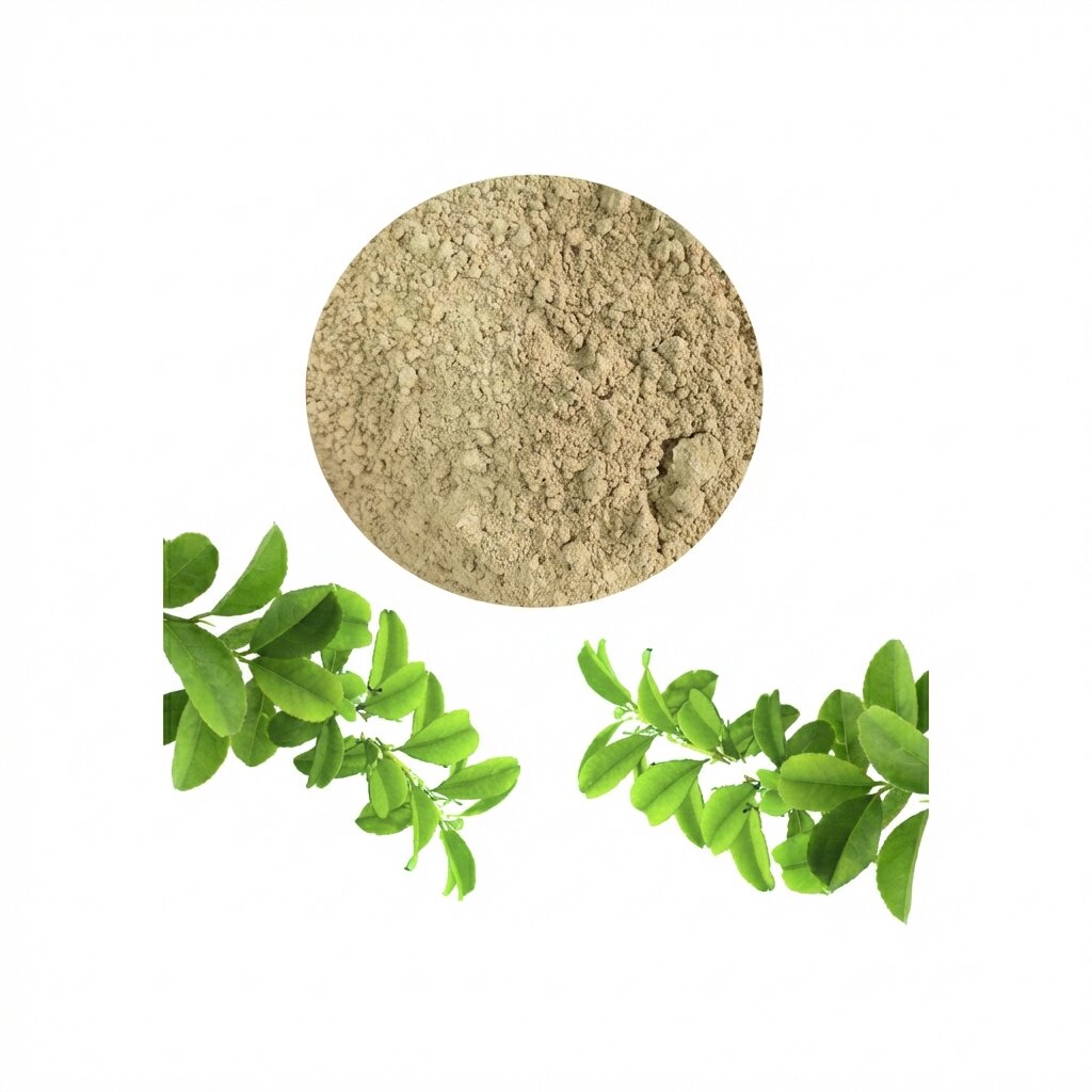 Thao-en On для лечения опорно-двигательной системы (Порошок) (AI gallery) Thao-en On для лечения опорно-двигательной системы (Порошок) — изображение 1