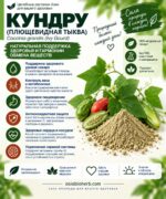 Кундру для естественного контроля сахара и здорового метаболизма Ivy Gourd Vine Powder — изображение 2