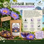 Органический сушеный голубой лотос для снятия стресса и глубокого расслабления Nymphaea caerulea — изображение 2