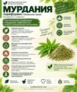 Мурдания Лариформис для глубокого очищения организма и снижения воспалительных процессов (органический порошок) Murdannia Loriformis — изображение 2