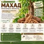 Артокарпус Лакуча (Махад) - мощная антипаразитарка (Artocarpus lakoocha) Powder — изображение 2